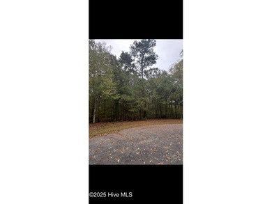 Yeopim River Lot For Sale in Hertford North Carolina