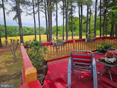 Come see this charming home located in the sought after 55+ - photo 21