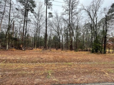 Lake Lot For Sale in Scroggins, Texas
