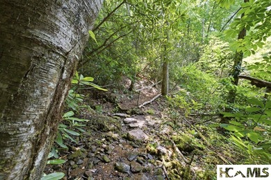 A classic mountain sanctuary nestled within the exclusive Bear - photo 43