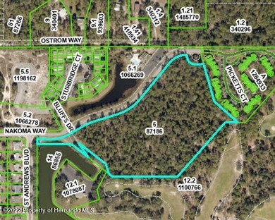 Prime Location in the Nature Coast community of The Heather - photo 1