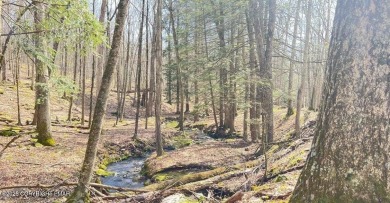 Tink Wig Lake Lot For Sale in Hawley Pennsylvania