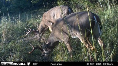 (private lake, pond, creek) Acreage For Sale in Louisburg Kansas