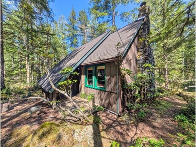 (private lake, pond, creek) Home For Sale in Rhododendron Oregon