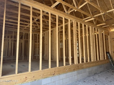 Great new construction in Lake Tansi !! Luxury vinyl plank - photo 5
