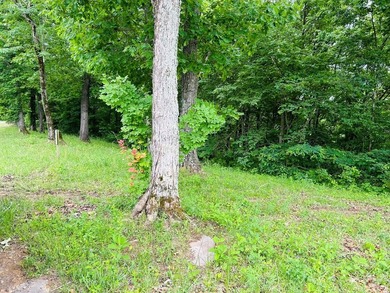 The Pointe at Dale Hollow is a beautiful gated community that - photo 13