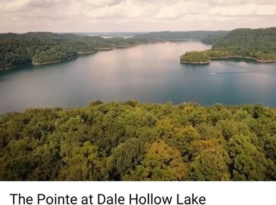 The Pointe at Dale Hollow is a beautiful gated community that - photo 14