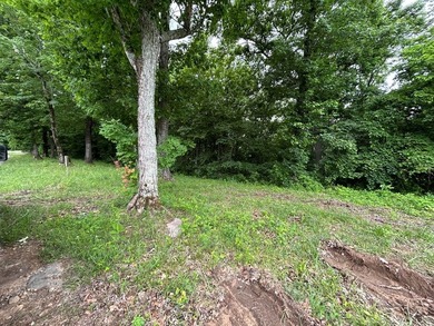 The Pointe at Dale Hollow is a beautiful gated community that - photo 15