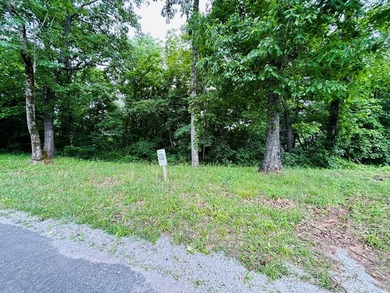 The Pointe at Dale Hollow is a beautiful gated community that - photo 16