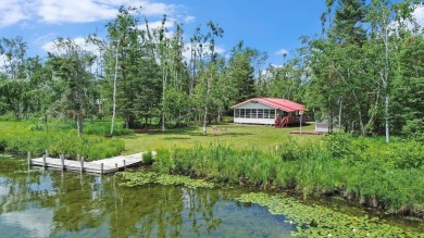 Lake Home For Sale in Johannesburg, Michigan