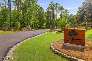 Welcome to Springwood, Flora's newest lakefront development - photo 4