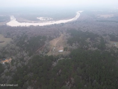 (private lake, pond, coastal) Home For Sale in Meadville Mississippi