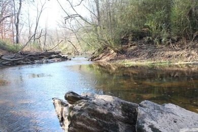 (private lake, pond, coastal) Acreage For Sale in Star North Carolina