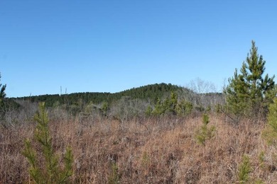 To truly appreciate this property's stunning topography and dual - photo 2