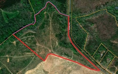 To truly appreciate this property's stunning topography and dual - photo 3