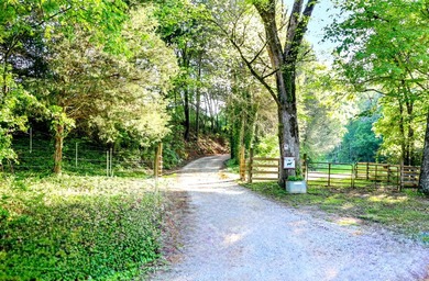 Established 27.38-acre equestrian ranch with boarding income - photo 5