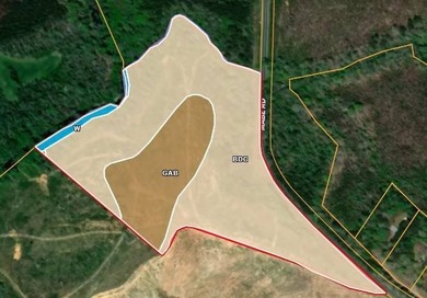 To truly appreciate this property's stunning topography and dual - photo 5