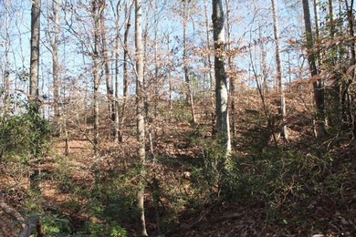 To truly appreciate this property's stunning topography and dual - photo 8