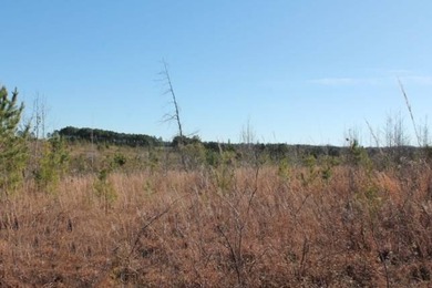 To truly appreciate this property's stunning topography and dual - photo 9