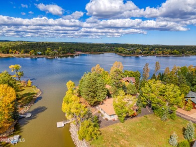 Lake Home For Sale in Pinetop-Lakeside, Arizona