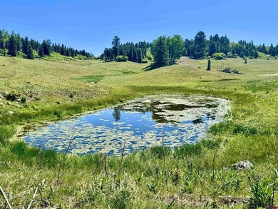 Greg Liddle, Hayden Outdoors LLC, C:,,: Just 31 miles south of - photo 7