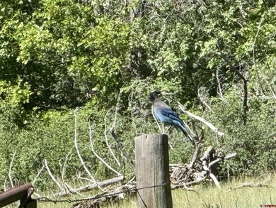Greg Liddle, Hayden Outdoors LLC, C:,,: Just 31 miles south of - photo 9