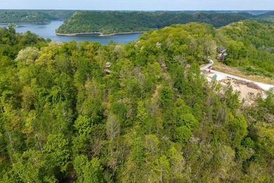 Escape to the beauty of Center Hill Lake with this 3-acre wooded - photo 13