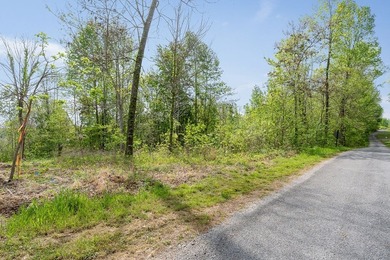 Escape to the beauty of Center Hill Lake with this 3-acre wooded - photo 15