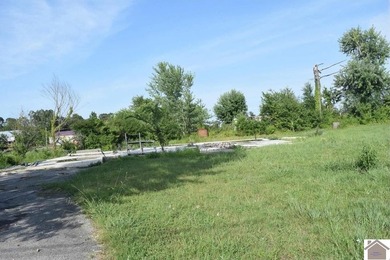 Lake Lot For Sale in Gilbertsville, Kentucky