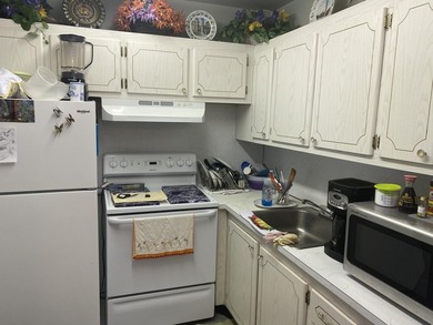 Discover waterfront living in the Berkshire A Thru K Condos - photo 8