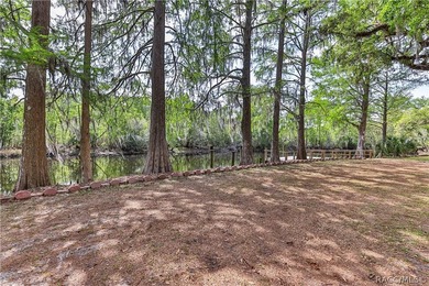 This canal-front home is move in ready and full of character and - photo 47