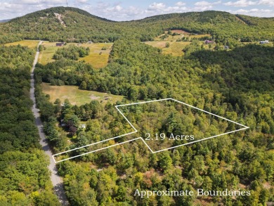 Lake Acreage For Sale in Dedham, Maine