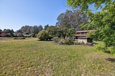 The oldest house in Bolinas is available for the first time in - photo 13
