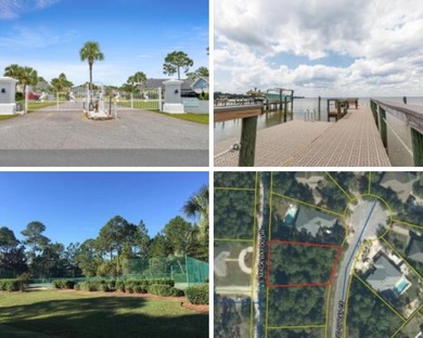 This is your opportunity to own one of the few remaining lots in - photo 1