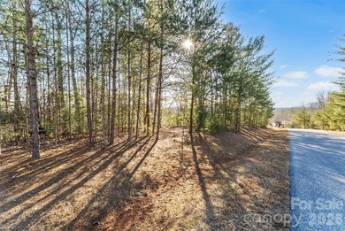 Discover the perfect setting for your mountain and lake retreat - photo 6