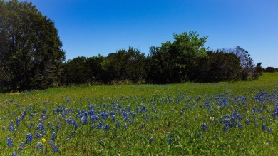 (private lake, pond, creek) Lot For Sale in Cleburne Texas