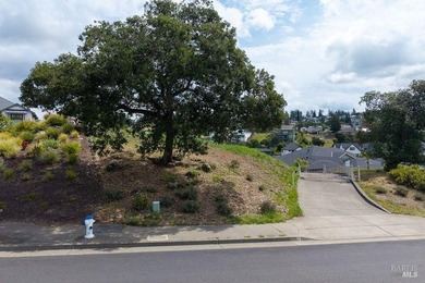 This outstanding parcel overlooks the golf course and - photo 3