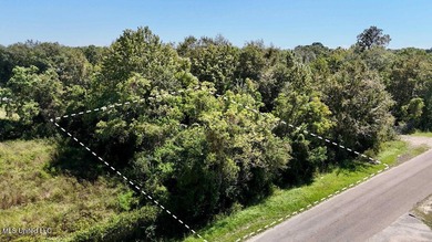 Live just 10 minutes from the beach while taking advantage of - photo 4