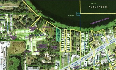 Lake Lot For Sale in Auburndale, Florida