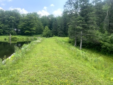 Lakefront Privacy on Beaver Meadow Lake - photo 14