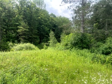 Lakefront Privacy on Beaver Meadow Lake - photo 7