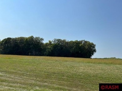 Lake Jefferson Lot For Sale in Cleveland Minnesota