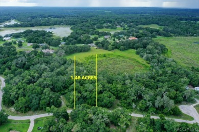 Tsala Apopka Chain of Lakes Lot For Sale in Inverness Florida