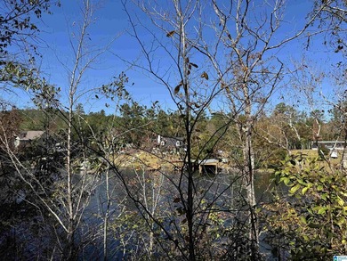 Welcome to your own Private Retreat on Lake Mitchell with - photo 2