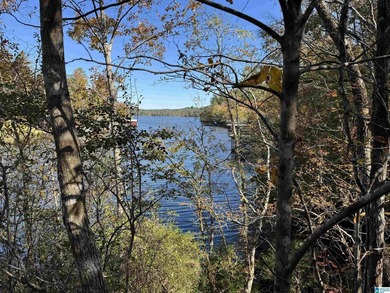 Welcome to your own Private Retreat on Lake Mitchell with - photo 3
