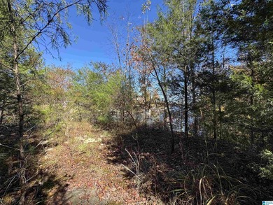 Welcome to your own Private Retreat on Lake Mitchell with - photo 4