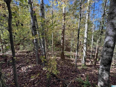 Welcome to your own Private Retreat on Lake Mitchell with - photo 5