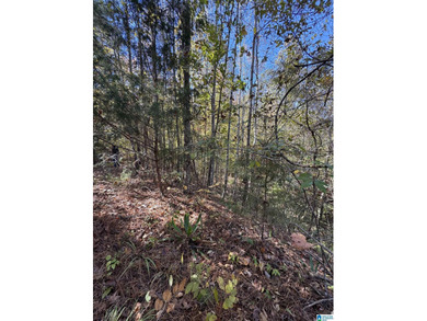 Welcome to your own Private Retreat on Lake Mitchell with - photo 6