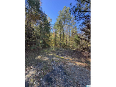 Welcome to your own Private Retreat on Lake Mitchell with - photo 7