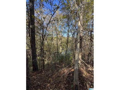 Welcome to your own Private Retreat on Lake Mitchell with - photo 8